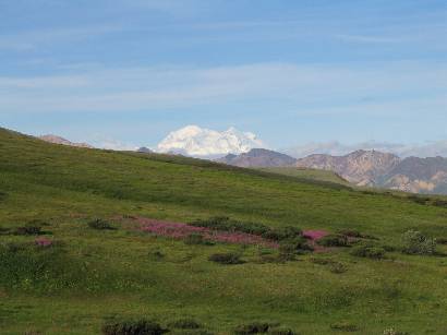 Denali Nationalpark