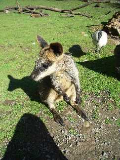 im Gorge Wildlife Park