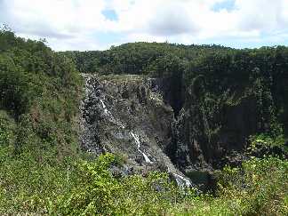 Unterwegs nach Kuranda