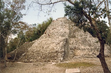 Cobá