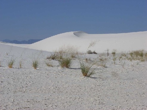 White Sands